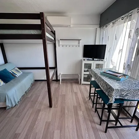 Apartment Beau Climatise En Bord De Et Wi-fi Le Grau-du-Roi